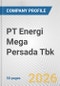 PT Energi Mega Persada Tbk Fundamental Company Report Including Financial, SWOT, Competitors and Industry Analysis - Product Thumbnail Image
