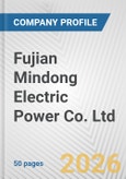Fujian Mindong Electric Power Co. Ltd. Fundamental Company Report Including Financial, SWOT, Competitors and Industry Analysis- Product Image