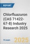 Chlorfluazuron (CAS 71422-67-8) Industry Research 2025: Global and Regional Market Trends 2019-2024 and Forecast to 2029 - Product Thumbnail Image