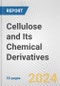 Cellulose and Its Chemical Derivatives: European Union Market Outlook 2023-2027 - Product Thumbnail Image