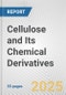 Cellulose and Its Chemical Derivatives: European Union Market Outlook 2023-2027 - Product Thumbnail Image