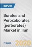 Borates and Peroxoborates (perborates) Market in Iran: Business Report 2020- Product Image