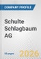 Schulte Schlagbaum AG Fundamental Company Report Including Financial, SWOT, Competitors and Industry Analysis - Product Thumbnail Image