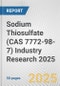 Sodium Thiosulfate (CAS 7772-98-7) Industry Research 2025: Global and Regional Market Trends 2019-2024 and Forecast to 2029 - Product Image