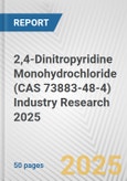 2,4-Dinitropyridine Monohydrochloride (CAS 73883-48-4) Industry Research 2025: Global and Regional Market Trends 2019-2024 and Forecast to 2029- Product Image