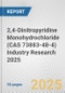 2,4-Dinitropyridine Monohydrochloride (CAS 73883-48-4) Industry Research 2025: Global and Regional Market Trends 2019-2024 and Forecast to 2029 - Product Thumbnail Image