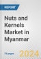 Nuts and Kernels Market in Myanmar: Business Report 2024 - Product Thumbnail Image