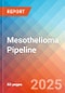 Mesothelioma - Pipeline Insight, 2024 - Product Image