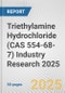 Triethylamine Hydrochloride (CAS 554-68-7) Industry Research 2025: Global and Regional Market Trends 2019-2024 and Forecast to 2029 - Product Thumbnail Image