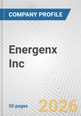 Energenx Inc Fundamental Company Report Including Financial, SWOT, Competitors and Industry Analysis- Product Image