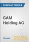 GAM Holding AG Fundamental Company Report Including Financial, SWOT, Competitors and Industry Analysis - Product Thumbnail Image