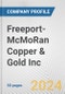 Freeport-McMoRan Copper & Gold Inc. Fundamental Company Report Including Financial, SWOT, Competitors and Industry Analysis - Product Thumbnail Image