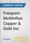 Freeport-McMoRan Copper & Gold Inc. Fundamental Company Report Including Financial, SWOT, Competitors and Industry Analysis - Product Thumbnail Image