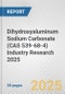 Dihydroxyaluminum Sodium Carbonate (CAS 539-68-4) Industry Research 2025: Global and Regional Market Trends 2019-2024 and Forecast to 2029 - Product Image