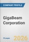 GigaBeam Corporation Fundamental Company Report Including Financial, SWOT, Competitors and Industry Analysis - Product Thumbnail Image