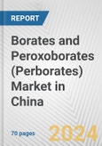 Borates and Peroxoborates (perborates) Market in China: Business Report 2020- Product Image