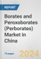 Borates and Peroxoborates (perborates) Market in China: Business Report 2020 - Product Thumbnail Image