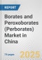 Borates and Peroxoborates (Perborates) Market in China: Business Report 2024 - Product Image