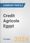 Credit Agricole Egypt Fundamental Company Report Including Financial, SWOT, Competitors and Industry Analysis - Product Thumbnail Image