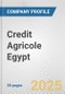 Credit Agricole Egypt Fundamental Company Report Including Financial, SWOT, Competitors and Industry Analysis - Product Thumbnail Image