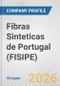 Fibras Sinteticas de Portugal (FISIPE) Fundamental Company Report Including Financial, SWOT, Competitors and Industry Analysis - Product Thumbnail Image