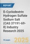 ß-Cyclodextrin Hydrogen Sulfate Sodium Salt (CAS 37191-69-8) Industry Research 2025: Global and Regional Market Trends 2019-2024 and Forecast to 2029 - Product Thumbnail Image