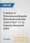2-Amino-6-Chlorobenzothiazole Monohydrochloride (CAS 61827-71-2) Industry Research 2025: Global and Regional Market Trends 2019-2024 and Forecast to 2029 - Product Image