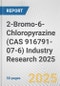 2-Bromo-6-Chloropyrazine (CAS 916791-07-6) Industry Research 2025: Global and Regional Market Trends 2019-2024 and Forecast to 2029 - Product Image