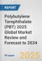 Polybutylene Terephthalate (PBT) 2025 Global Market Review and Forecast to 2034 - Product Thumbnail Image