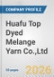Huafu Top Dyed Melange Yarn Co.,Ltd. Fundamental Company Report Including Financial, SWOT, Competitors and Industry Analysis - Product Thumbnail Image
