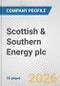 Scottish & Southern Energy plc Fundamental Company Report Including Financial, SWOT, Competitors and Industry Analysis - Product Thumbnail Image