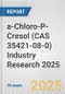 a-Chloro-P-Cresol (CAS 35421-08-0) Industry Research 2025: Global and Regional Market Trends 2019-2024 and Forecast to 2029 - Product Image