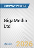 GigaMedia Ltd. Fundamental Company Report Including Financial, SWOT, Competitors and Industry Analysis- Product Image