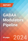 GABAA Modulators - Pipeline Insight, 2024- Product Image