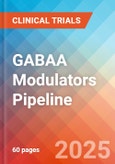 GABAA Modulators - Pipeline Insight, 2024- Product Image