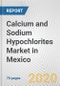 Calcium and Sodium Hypochlorites Market in Mexico: Business Report 2020 - Product Thumbnail Image