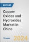 Copper Oxides and Hydroxides Market in China: Business Report 2024 - Product Thumbnail Image
