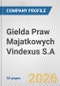 Gielda Praw Majatkowych Vindexus S.A. Fundamental Company Report Including Financial, SWOT, Competitors and Industry Analysis - Product Thumbnail Image