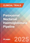 Paroxysmal Nocturnal Haemoglobinuria - Pipeline Insight, 2024- Product Image