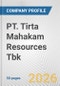 PT. Tirta Mahakam Resources Tbk Fundamental Company Report Including Financial, SWOT, Competitors and Industry Analysis - Product Thumbnail Image
