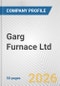 Garg Furnace Ltd Fundamental Company Report Including Financial, SWOT, Competitors and Industry Analysis - Product Thumbnail Image