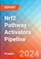 Nrf2 Pathway Activators - Pipeline Insight, 2022 - Product Thumbnail Image