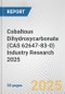 Cobaltous Dihydroxycarbonate (CAS 62647-83-0) Industry Research 2025: Global and Regional Market Trends 2019-2024 and Forecast to 2029 - Product Thumbnail Image