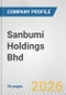 Sanbumi Holdings Bhd Fundamental Company Report Including Financial, SWOT, Competitors and Industry Analysis - Product Thumbnail Image