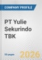 PT Yulie Sekurindo TBK Fundamental Company Report Including Financial, SWOT, Competitors and Industry Analysis - Product Thumbnail Image