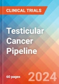 Testicular Cancer - Pipeline Insight, 2024- Product Image
