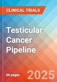 Testicular Cancer - Pipeline Insight, 2024- Product Image