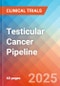 Testicular Cancer - Pipeline Insight, 2024 - Product Image