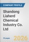 Shandong Liaherd Chemical Industry Co. Ltd Fundamental Company Report Including Financial, SWOT, Competitors and Industry Analysis - Product Thumbnail Image