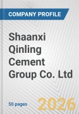 Shaanxi Qinling Cement Group Co. Ltd. Fundamental Company Report Including Financial, SWOT, Competitors and Industry Analysis- Product Image